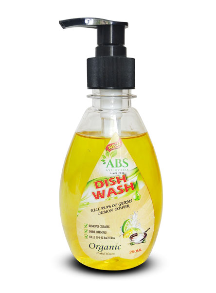 Dish Wash